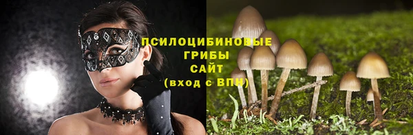 дживик Алексеевка