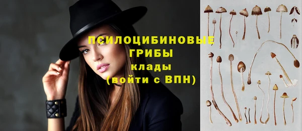 дживик Алексеевка