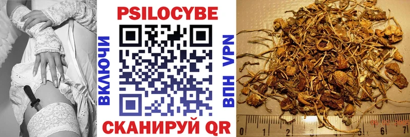 хочу   Черноголовка  Галлюциногенные грибы мухоморы 