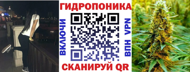 Бошки марихуана гибрид  Черноголовка 